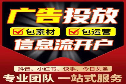 网络推广与竞价策略实战案例